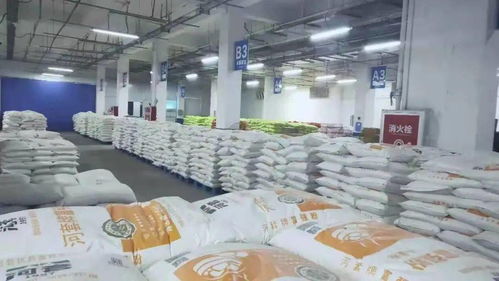 從產地到餐桌 科爾沁區餐飲管理新模式